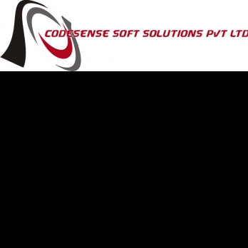 Codesense Soft Solutions Pvt Ltd-Freelancer in Kochi,India