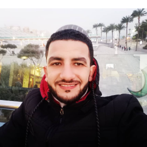 mahmoud moamen-Freelancer in alex,Egypt