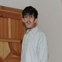 Bilal Hussain-Freelancer in Abbottabd,Pakistan