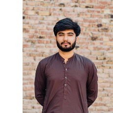 Wardan Tariq-Freelancer in Multan,Pakistan