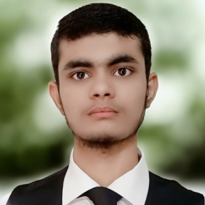 Ali Arbaz Anjum-Freelancer in Jhelum,Pakistan