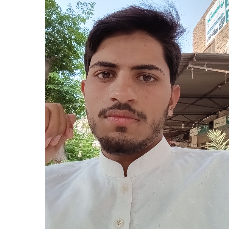 Ali Hamza-Freelancer in Faisalabad,Pakistan