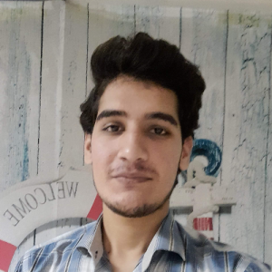 Muhammad Faizan Ahmad-Freelancer in Faisalabad,Pakistan