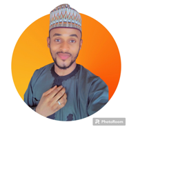 Muhammad Abdulmajeed-Freelancer in Abuja,Nigeria