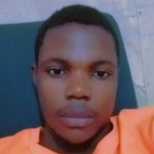 John Aseidu Nketiah-Freelancer in Wien,Ghana