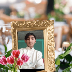 Imtiaz Hussain-Freelancer in Khanewal,Pakistan