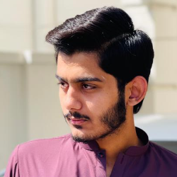 Ahmed Bhatti-Freelancer in Lahore,Pakistan