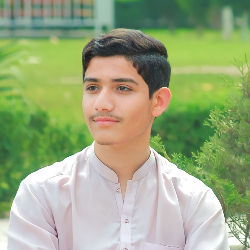 Aftab Ul Haq-Freelancer in Peshawar,Pakistan
