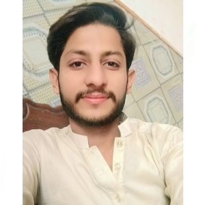 Hamza Naveed-Freelancer in Lahore,Pakistan
