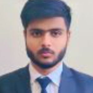 Ankit Kumar-Freelancer in Chandigarh,India