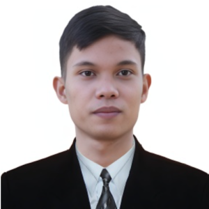 Marvin-Freelancer in villasis,Philippines