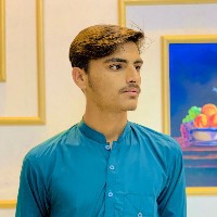 Nasir Khan-Freelancer in Mandi Bahauddin,Pakistan
