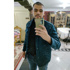 Mahmoud Mohamed Azab-Freelancer in Al Mansurah,Egypt