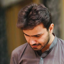 Husnain Malik-Freelancer in gujranwala,Pakistan