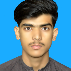 Muhammad Masab Rehman-Freelancer in ,Pakistan