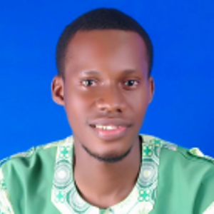 Ikechukwu Egbo-Freelancer in Abuja,Nigeria