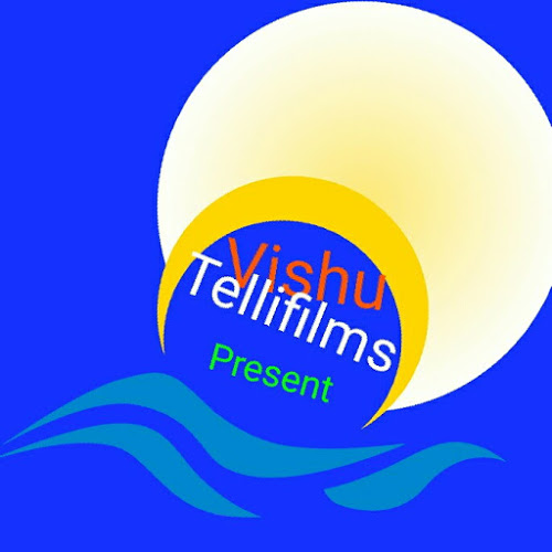 Vishu Tellifilms-Freelancer in Barmer,India