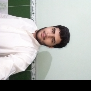 Abdullah Sarfraz-Freelancer in Sialkot,Pakistan