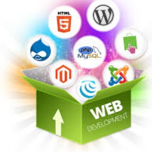 Webcare Infoway-Freelancer in Ahmedabad,India