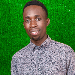 Nelson Nanjelo-Freelancer in Nairobi,Kenya