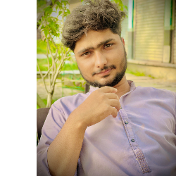 Hussnain Tasawwar-Freelancer in Lalamusa,Pakistan