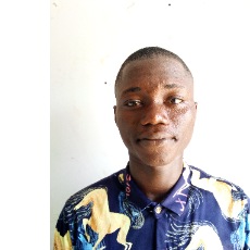 Emmanuel Owa-Freelancer in Lagos,Nigeria