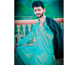 Saqlain Abbas malik-Freelancer in DG KHAN,Pakistan