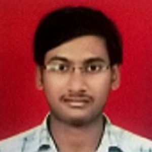 Umesh Nadargi-Freelancer in Pune Area, India,India