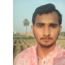 Ali Hamza-Freelancer in Bahawal pur,Pakistan