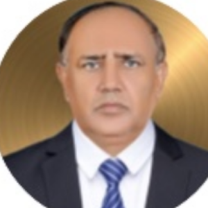 RAZA MUHAMMAD DANDAN-Freelancer in Karachi,Pakistan