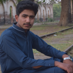 Muhammad Ahmad-Freelancer in Arif Wala,Pakistan