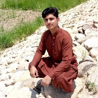 Faraz Ali Taimoor-Freelancer in Bahawal pur,Pakistan