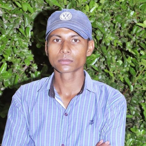 Ankit Sikarwar-Freelancer in ,India