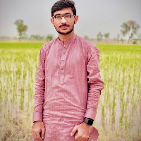 Muhammad Sheraz-Freelancer in Dera Ghazi Khan,Pakistan