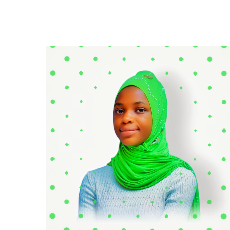 Babalola Aisha-Freelancer in Saki,Nigeria