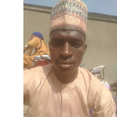 Bashir Dauda-Freelancer in ,Nigeria