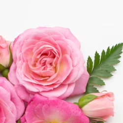 Tanveer Baig-Freelancer in Lahore,Pakistan