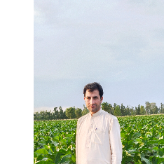 Imran Khan-Freelancer in Peshwar,Pakistan