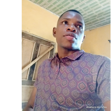 Henry Onyemeh-Freelancer in Asaba,Nigeria