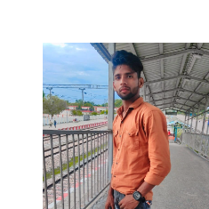Mohd Anas-Freelancer in Bisalpur,India