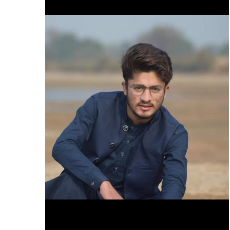 Muhammad Danish-Freelancer in Gujrat,Pakistan