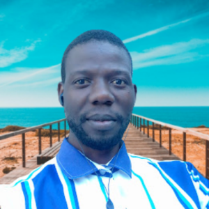 Francisco Sesa-Freelancer in Benguela,Angola