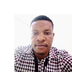 Samuel Silas-Freelancer in Lagos State,Nigeria