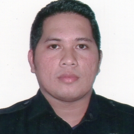 Ramoncito Salandanan-Freelancer in Quezon City,Philippines