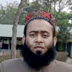 BM Rabiul Islam-Freelancer in Dhaka,Bangladesh