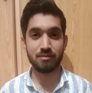 Hasnain Raza-Freelancer in jhang,Pakistan