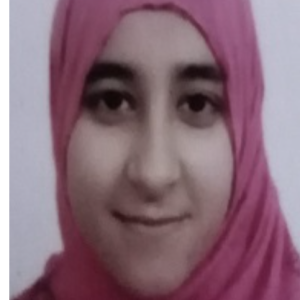 Noor Ul Ain Haroon-Freelancer in Islamabad,Pakistan