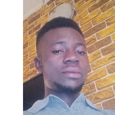 Simeon Chieshe-Freelancer in Abuja,Nigeria