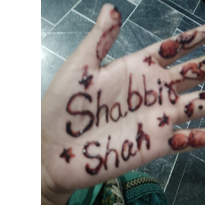 Shah Shabbir-Freelancer in Gujrat,Pakistan