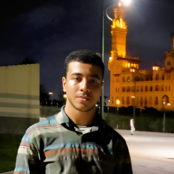 salah Mostafa-Freelancer in Alexandria,Egypt